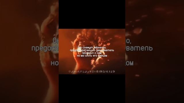Сура Аль Мульк - ответы тем кто потеряли смысл
ЖИЗНИ