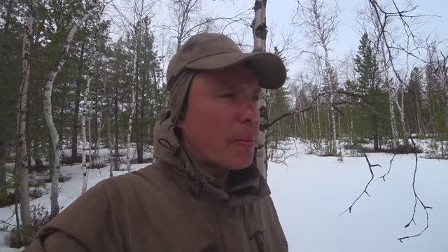Охотимся на оленей. Загоняем их в
Кораль. 2 часть