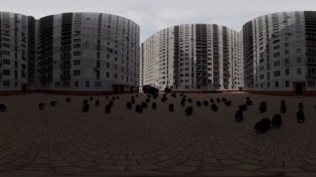 Кот Максвелл танцует в VR 360 на #Maxwell #Maxwellcat #VR #360 #VR360 #рекомендации #пжрек #пжврек