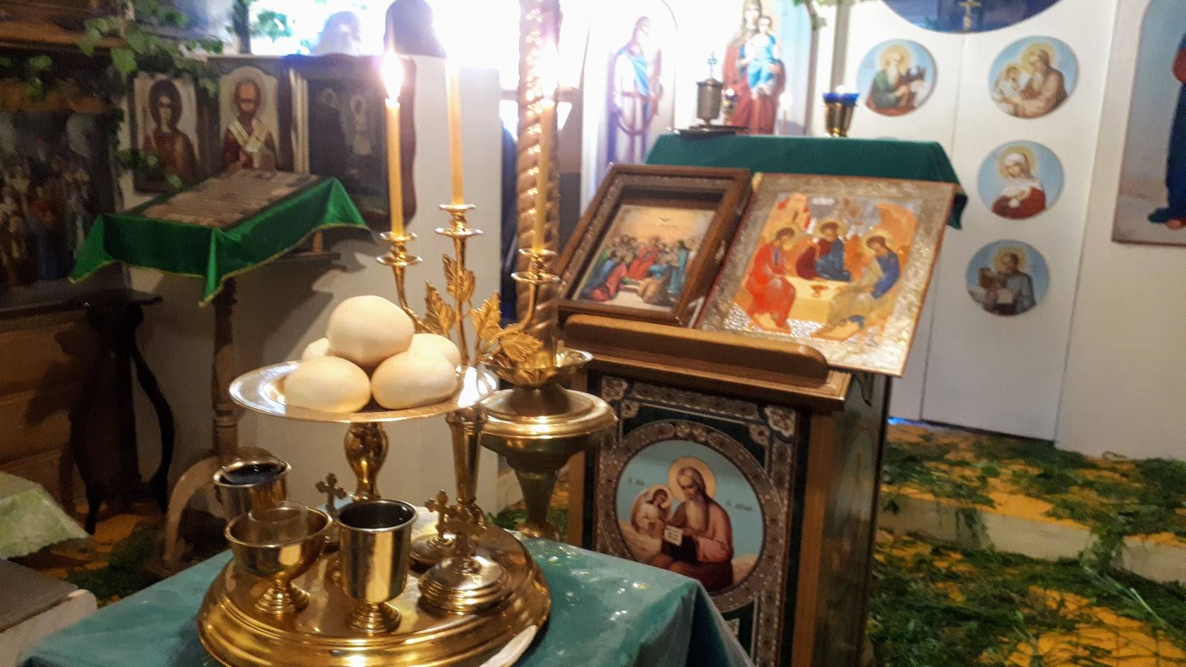 Чего боится коронавирус.