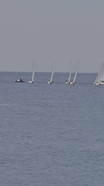 в Адлере море чистое, мазута нет
