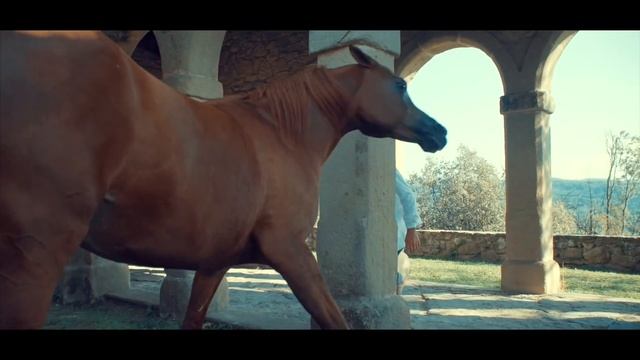SPOT - DOCUMENTARIO - Santi Serra Camps