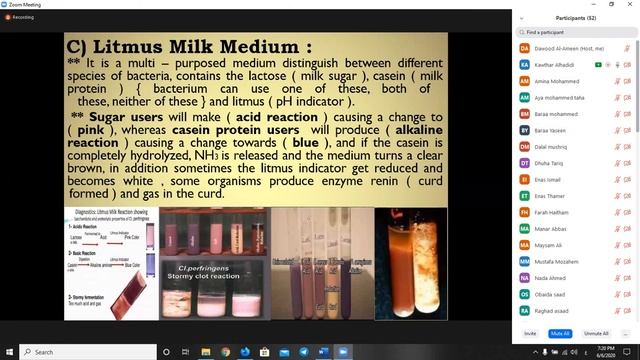 Microbiology | Practical | Clostridium Genus | Part.1 | 2019