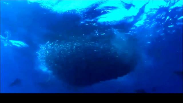Թարմացրու դու ինձ. worship song, Հոգեվոր երգ