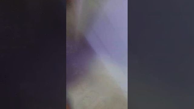 влог с сестрой