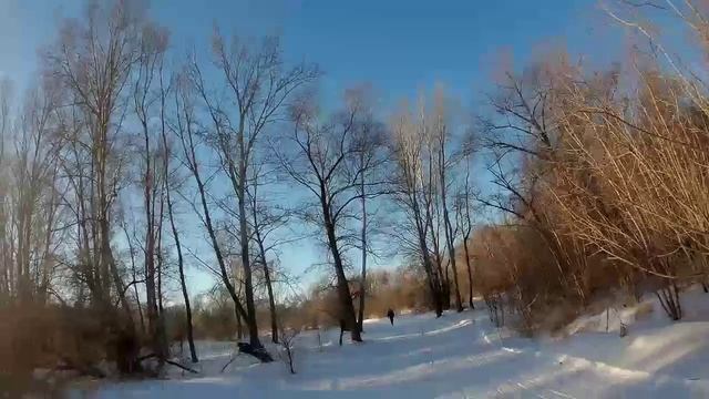 В объятиях января.😊