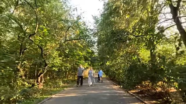 Решив выбрать дочери жениха по фото, богач позвал гадалку… А едва в дом ворвался бродяга с малышкой…