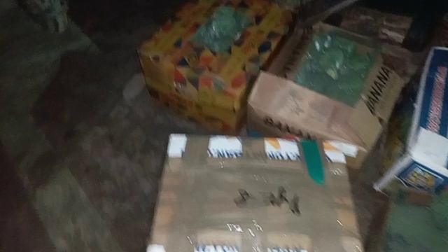 КАПУСТА БРОККОЛИ НА РЫНОК ВЕЛИКИЕ КОПАНИ 10 НОЯБРЯ
