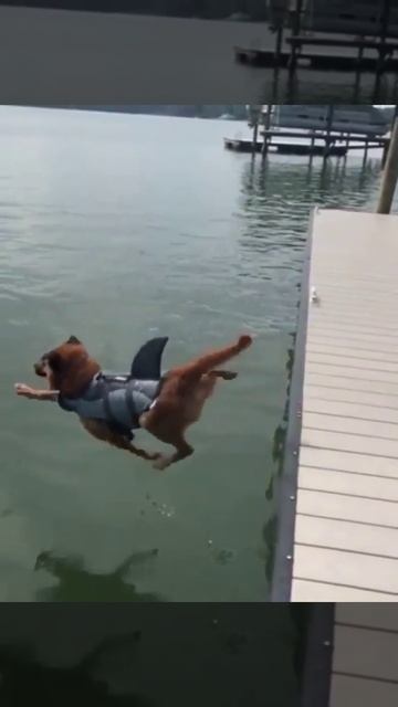 Я, когда приеду на море)