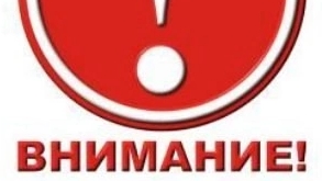 26-01-2025 Я в Аху...Е где мое гнездо