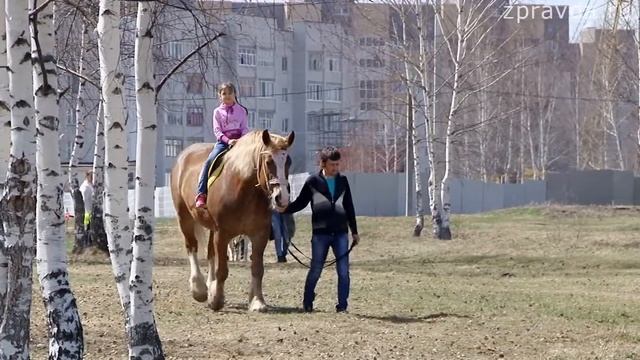 Зеленодольск майдан шашлык 29 04 17
