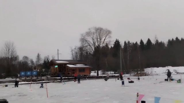 Видеоотчет с водоёма