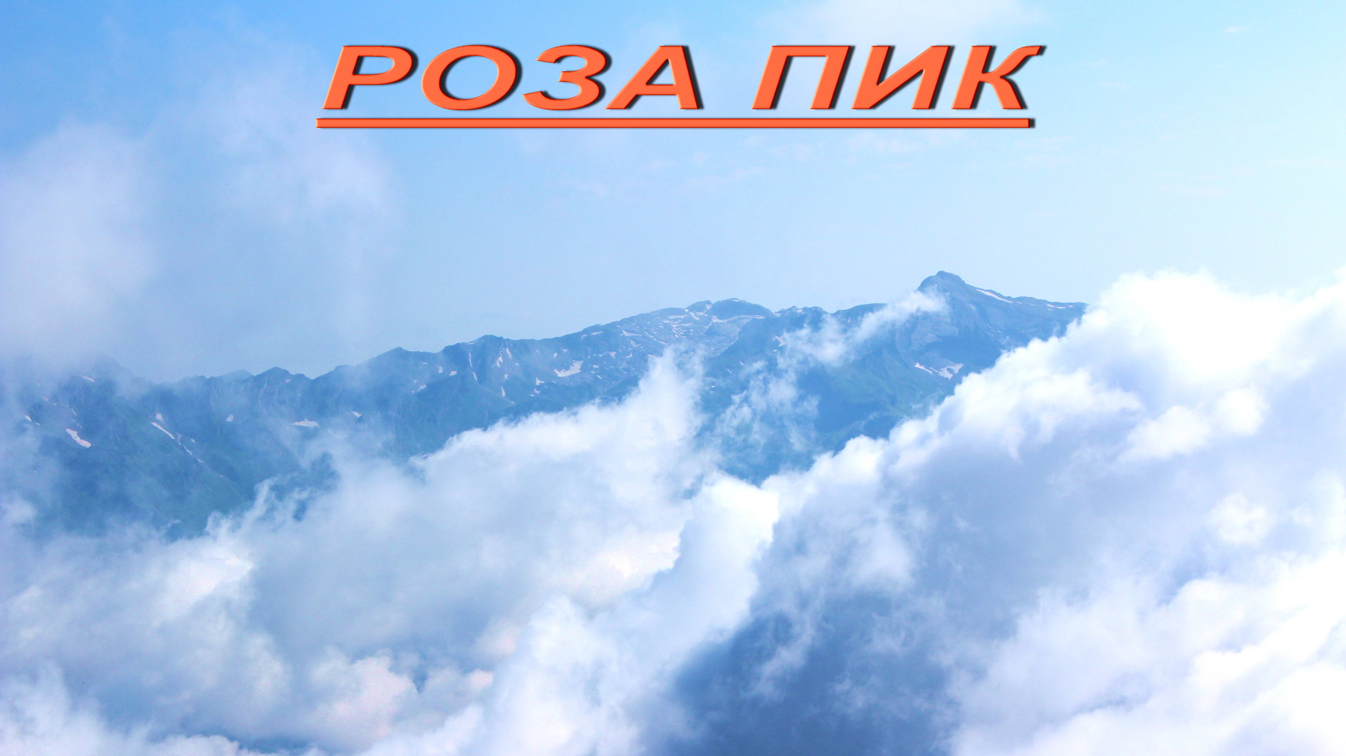 РОЗА ПИК