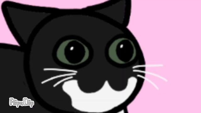 Go kitty go Maxwell the cat Animation meme
