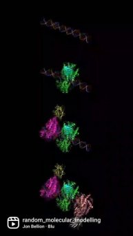 Cryo-EM structure of RIG-I:dsRNA filament in complex with RIPLET PrySpry domain (Homo Sapiens)