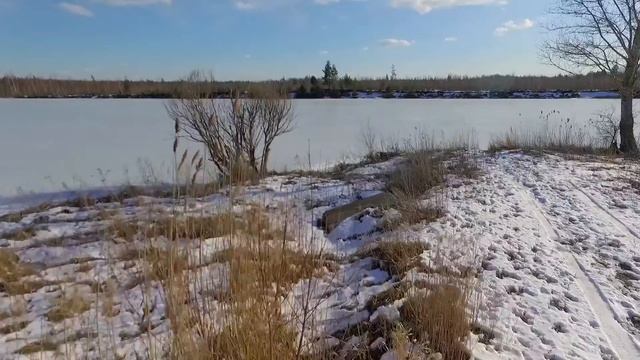 Стропила каркасного дома в Новом Калище (видео для Instagram)