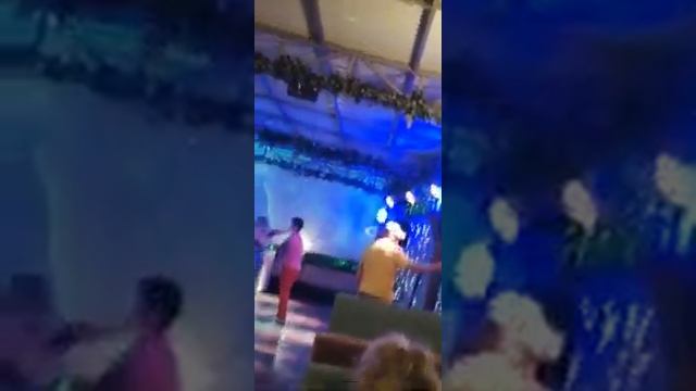Как я снимал головокружительный танец малинки.