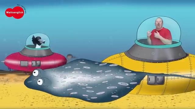 Sea Animals for Kids from Steve and Maggie Stories  Free Speaking Wow English TV_360p