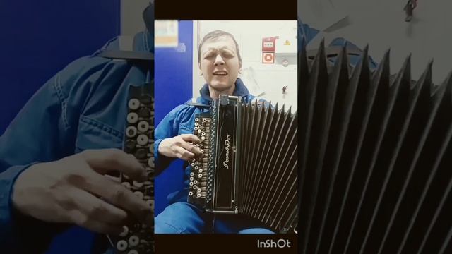 Там шли два брата...лучший кавер на баяне!!!