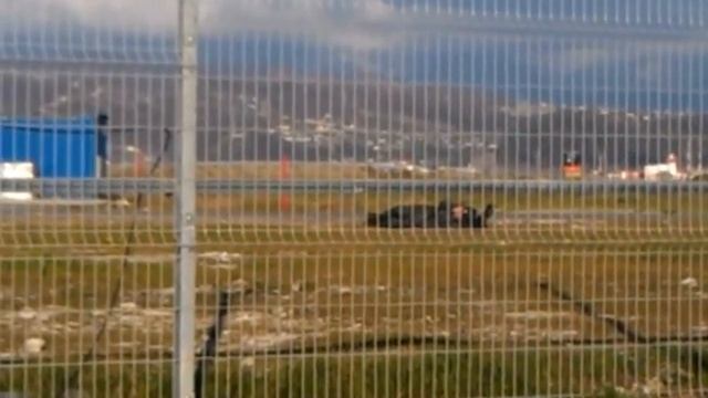 В мире животных, где обитают тюлени!!!?