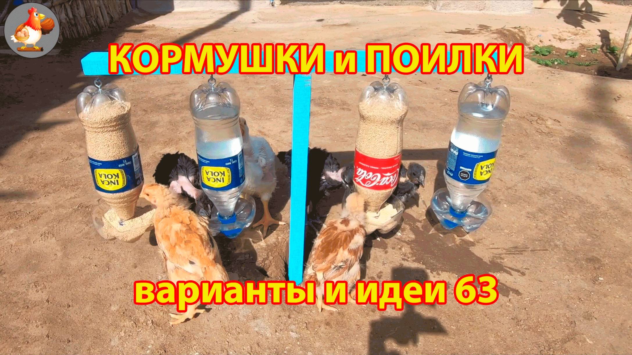 Кормушки и поилки для кур своими руками 63 🪚✂️ Пошаговая инструкция как сделать 🐔 🐓❣️