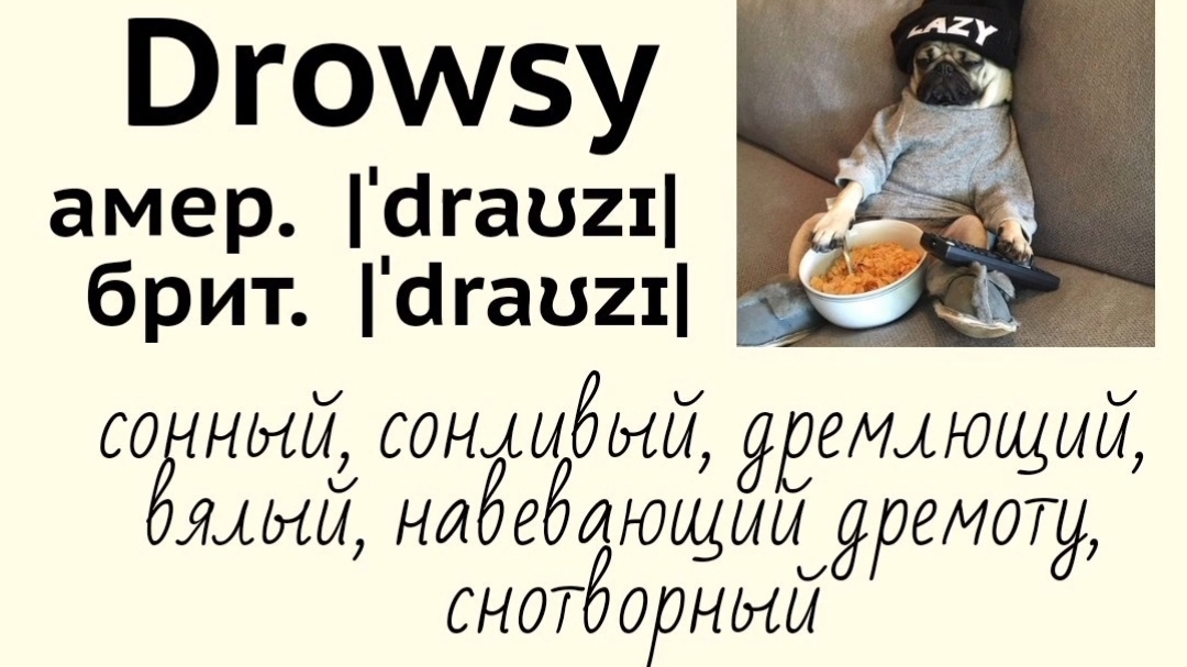 Picture dictionary/визуальный словарь👉drowsy