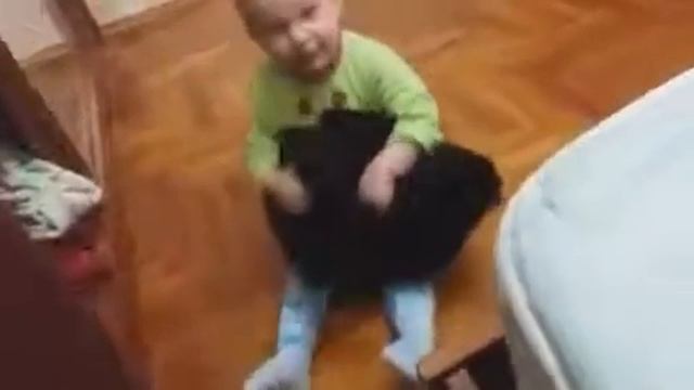 Прикол с кошкой счастье радость издевательство