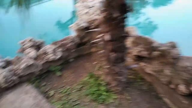 Крым.Ялта.Приморский парк..