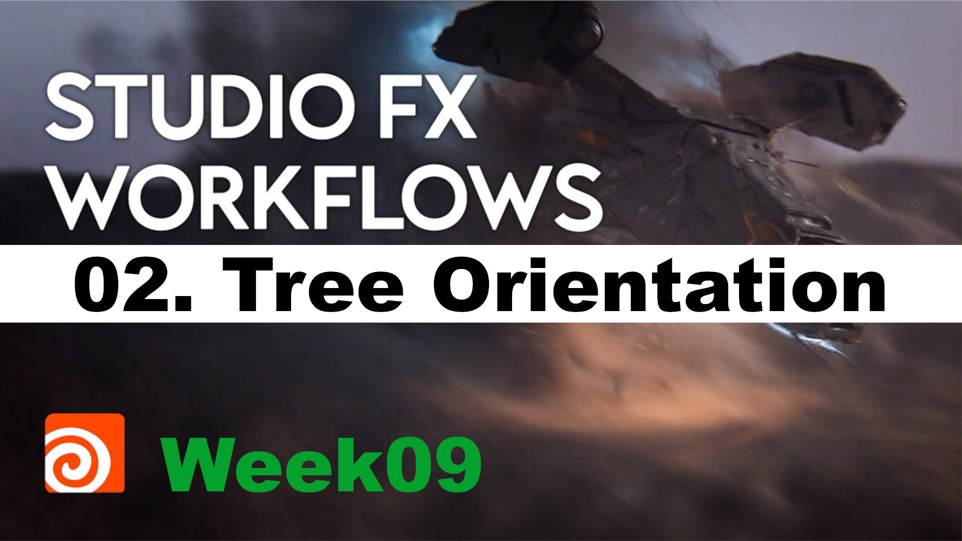 02. Tree Orientation