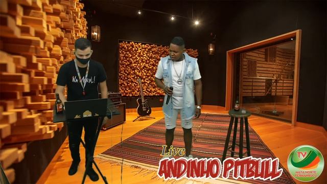 Live Andinho Pitbull