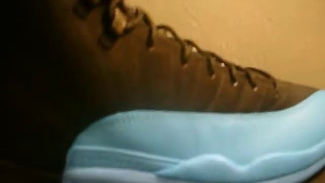AIR JORDAN 12 "GAMMA BLUE" VIDEO REVIEW