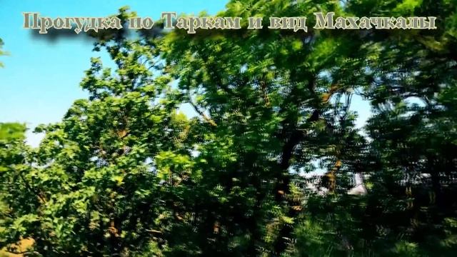 Михаил Булгаков Мастер и Маргарита Книга II Глава XXV Как прокуратор пытался спасти Иуду из Кериафа