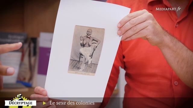 Le sexe des colonies