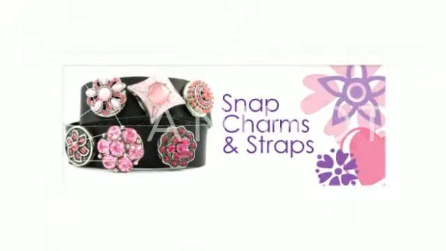 wholesale snap charm bracelets