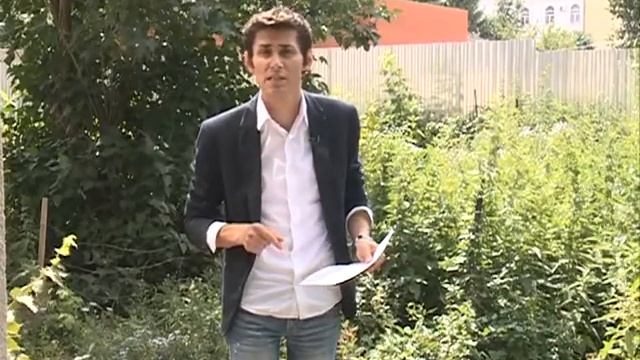 Идеальный проект. Выпуск 11