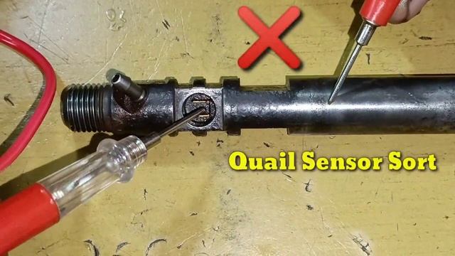 Delphi TVS Injector -2.2 Quail Sensor Sort #shorts