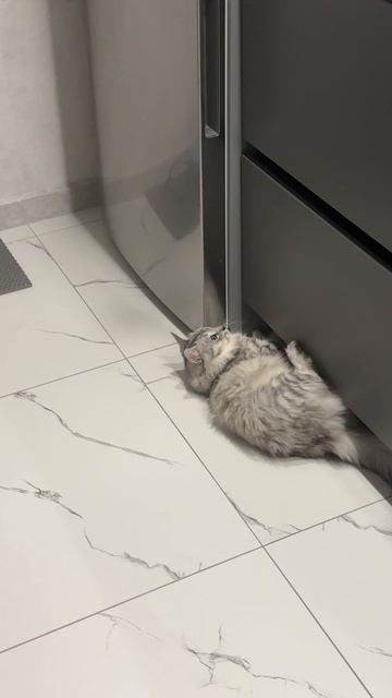 Бонни