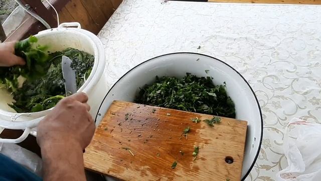 Молодая квашеная крапива своими руками.