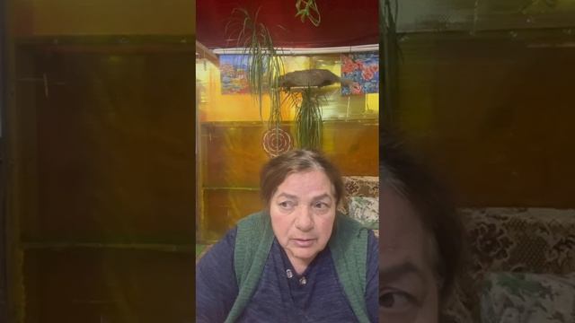 КОРОТКО О СЕБЕ И МЕТОДЕ. ГАЛИНА КАЛИЛОВА.