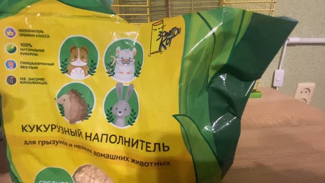 #1 обзор крысы Дамбо