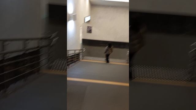 Нагатинский Затон станция метро Москвы (сдана в эксплуатацию в 2023г.)