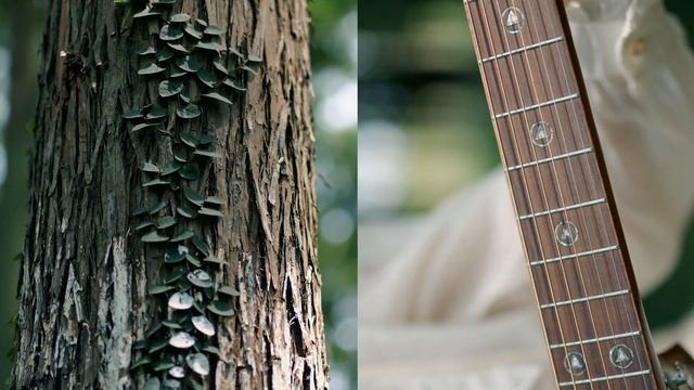 Aosen GA 750C Acoustic Guitar