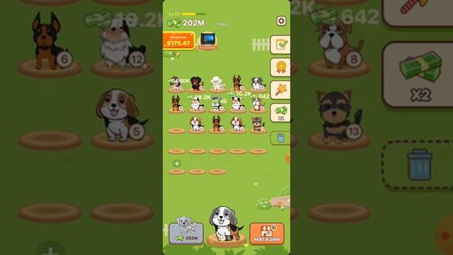 Вывода нет. Обзор PUPPY TOWN #6