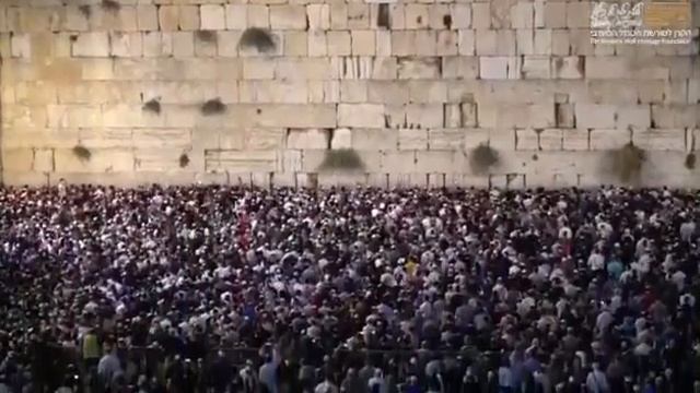 70,000 איש בעצרת סליחות הלילה ברחבת הכותל המערבי