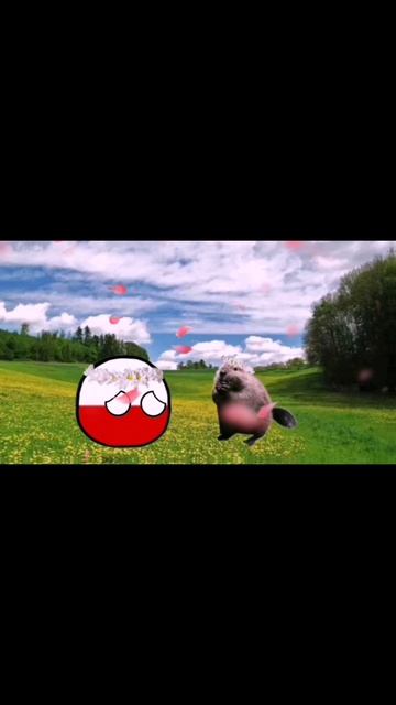 сидим с бобром за столом, кантриболз анимация #countryballs #meme #polska #bobr
