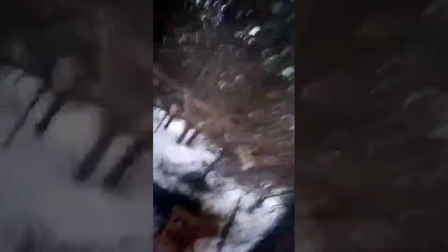 строим дом, день 1)