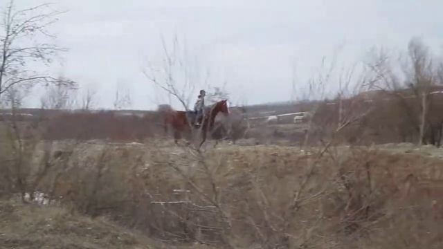 Небось много ошибок xD