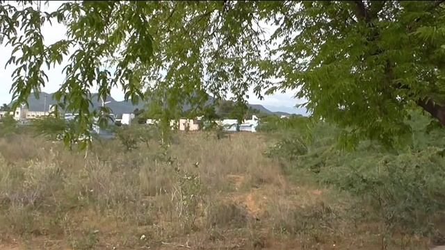 33. THENI DIST. BODI - Sillai 3 ACRE 46 CENT  AGRI LAND for Sale