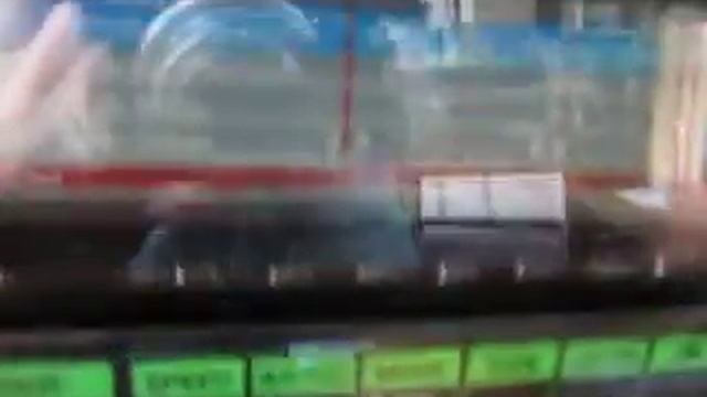 Dynasty 959.MOV