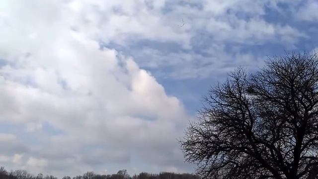 Весна! Утки прилетели!